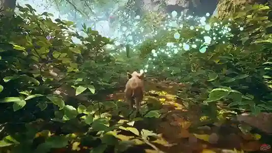 Adorable Adventures  