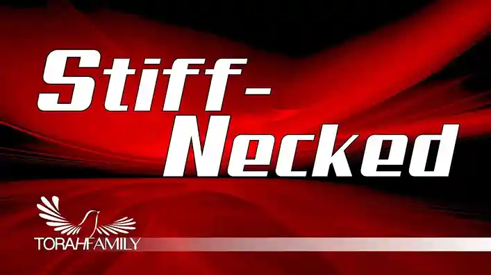 Stiff Neck